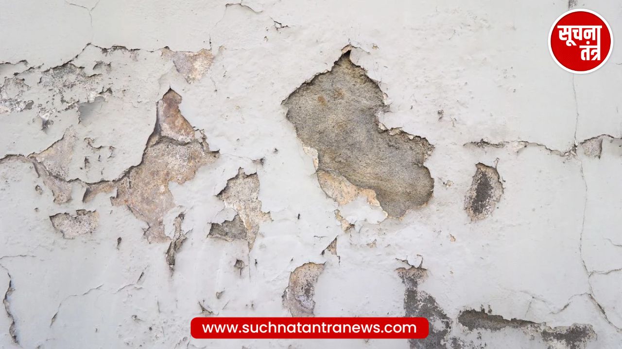 बारिश में घर की सीलन और बदबू से हैं परेशान? इन 5 आसान तरीकों से पाएं नमी से छुटकारा!