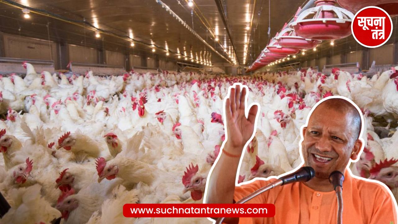 Yogi सरकार का बड़ा ऐलान! मुर्गी पालने वालों का लोन खुद चुकाएगी सरकार, बिजली बिल भी माफ